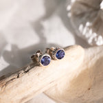 Pair of silver earrings with blue gemstones on a wooden branch.