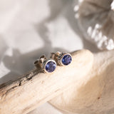 Pair of silver earrings with blue gemstones on a wooden branch.