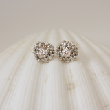 Silver stud earrings on a shell