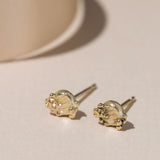 Gold Barnacle round stud earrings 