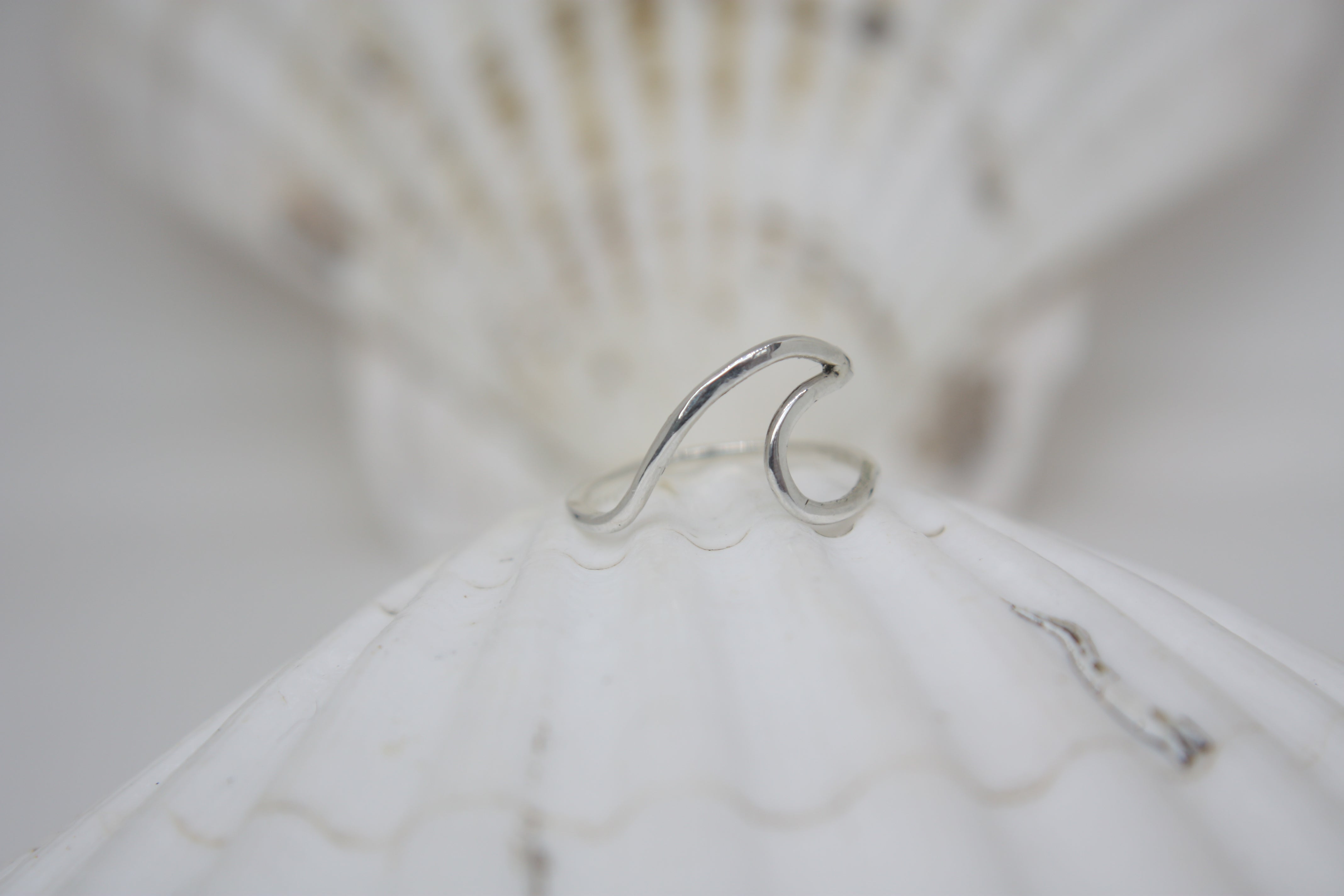 Silver ring on shell 
